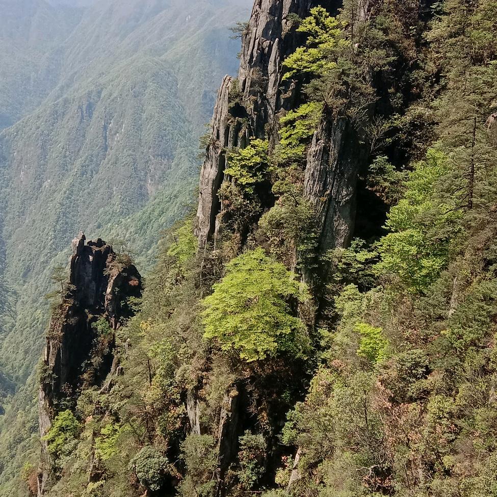 提笔写不尽的忧伤