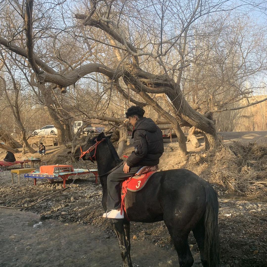 仔仔🐴