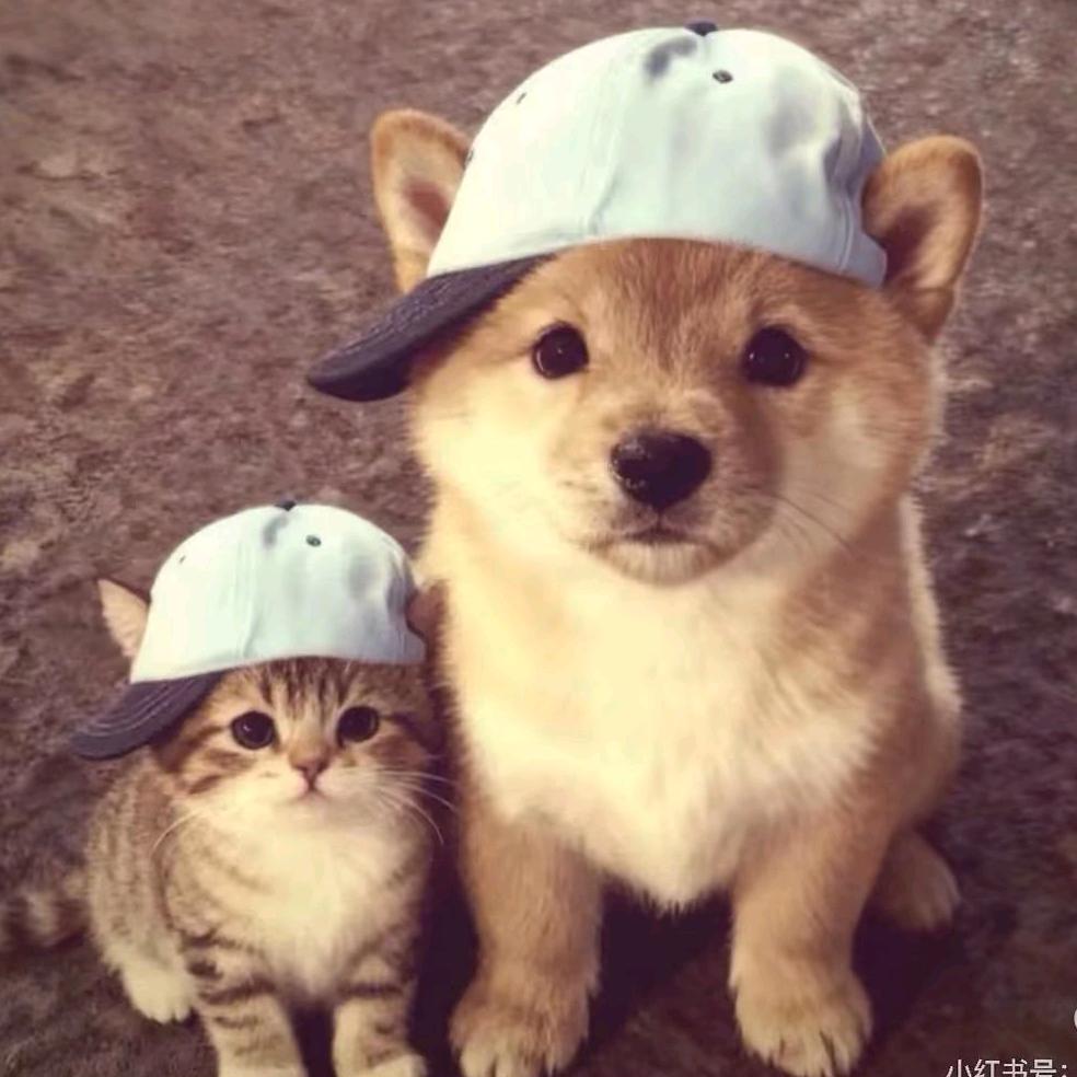 不加鸡蛋的鸡蛋灌饼