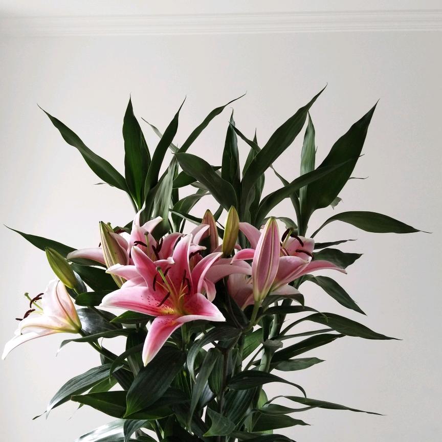 简简单单的每一天