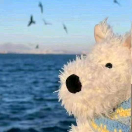 不要煩我了👋🏻:)