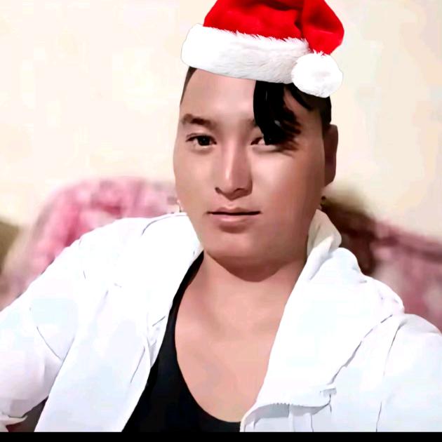 EXO的王