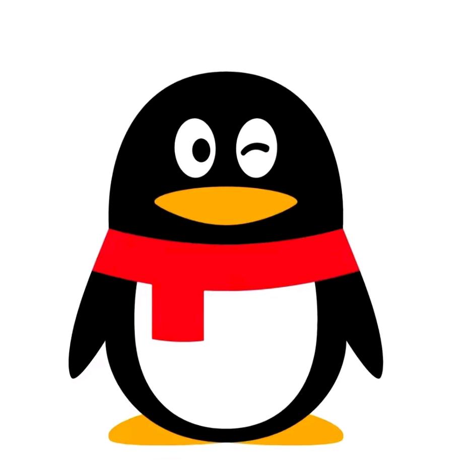 你行你也叫琪琪