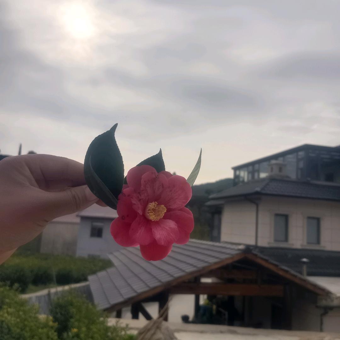 💞丫头💞,,常年招工
