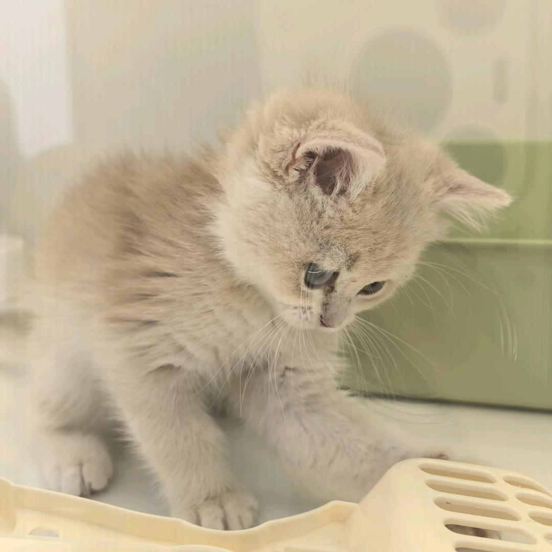 蔚蓝海岸（上岸）