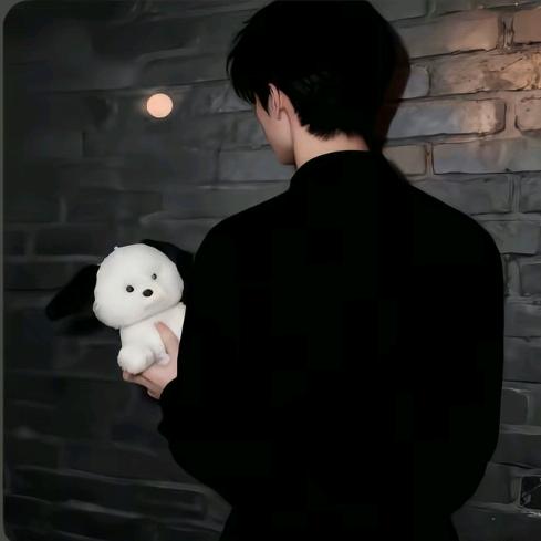 黑暗夜里的🐷