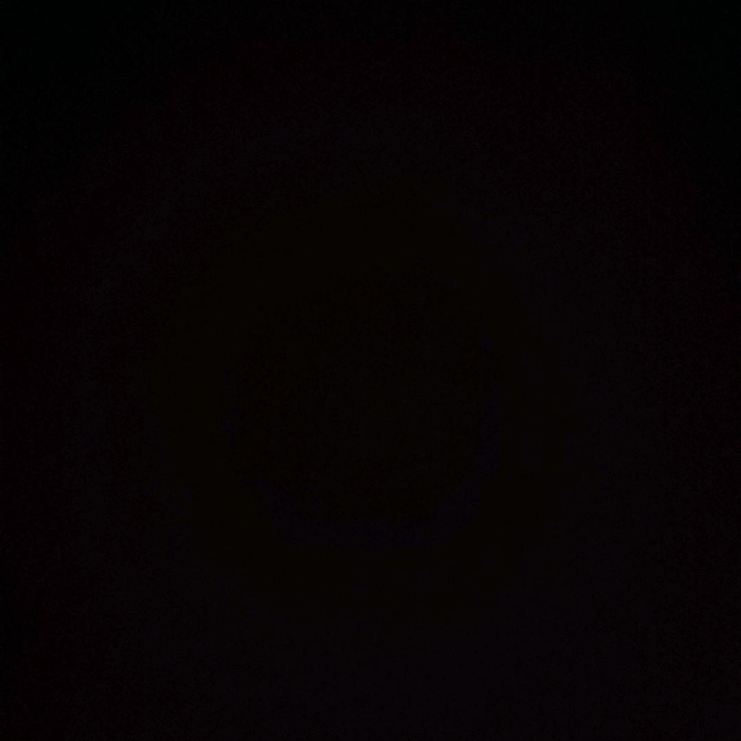 爱睡觉的龙龙。