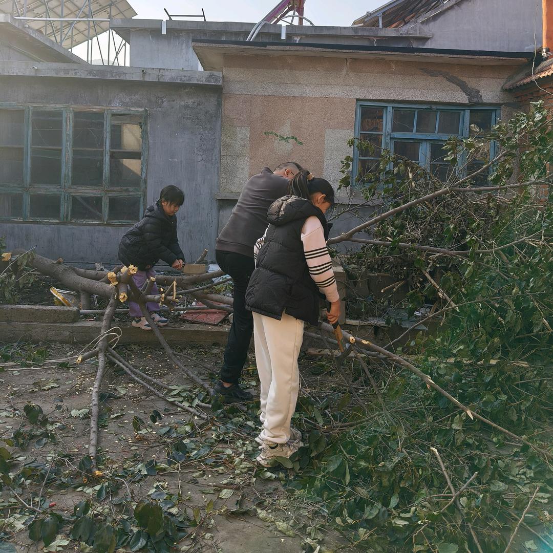 吾家小院（农村小院持续改造中）