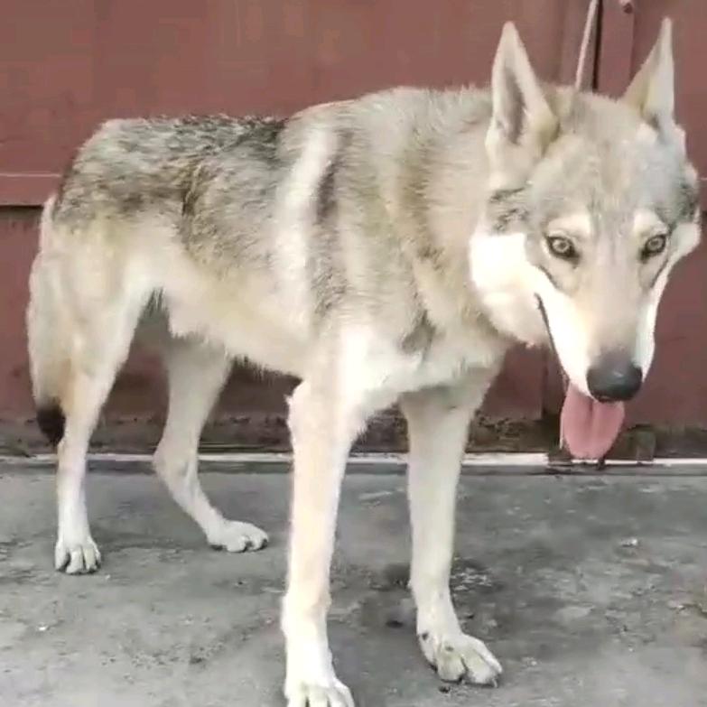 亚坤宠物生活馆