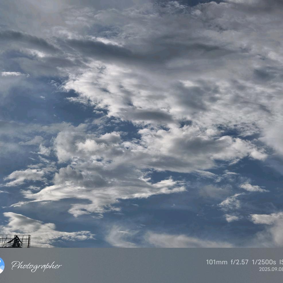 缘来缘去天注定