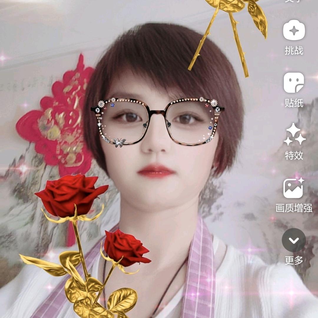 落叶🍂无声