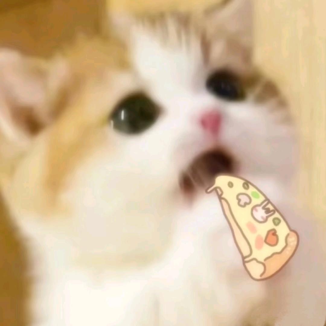 肉肉大王