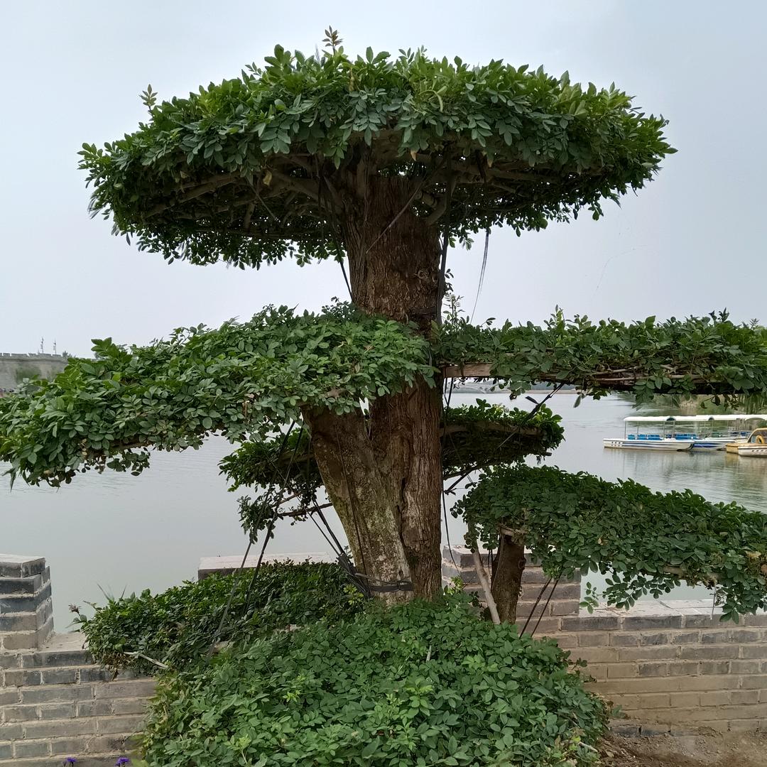 爱老婆会发财