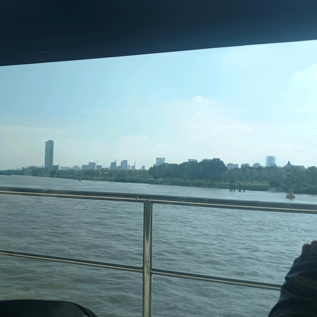 小白白