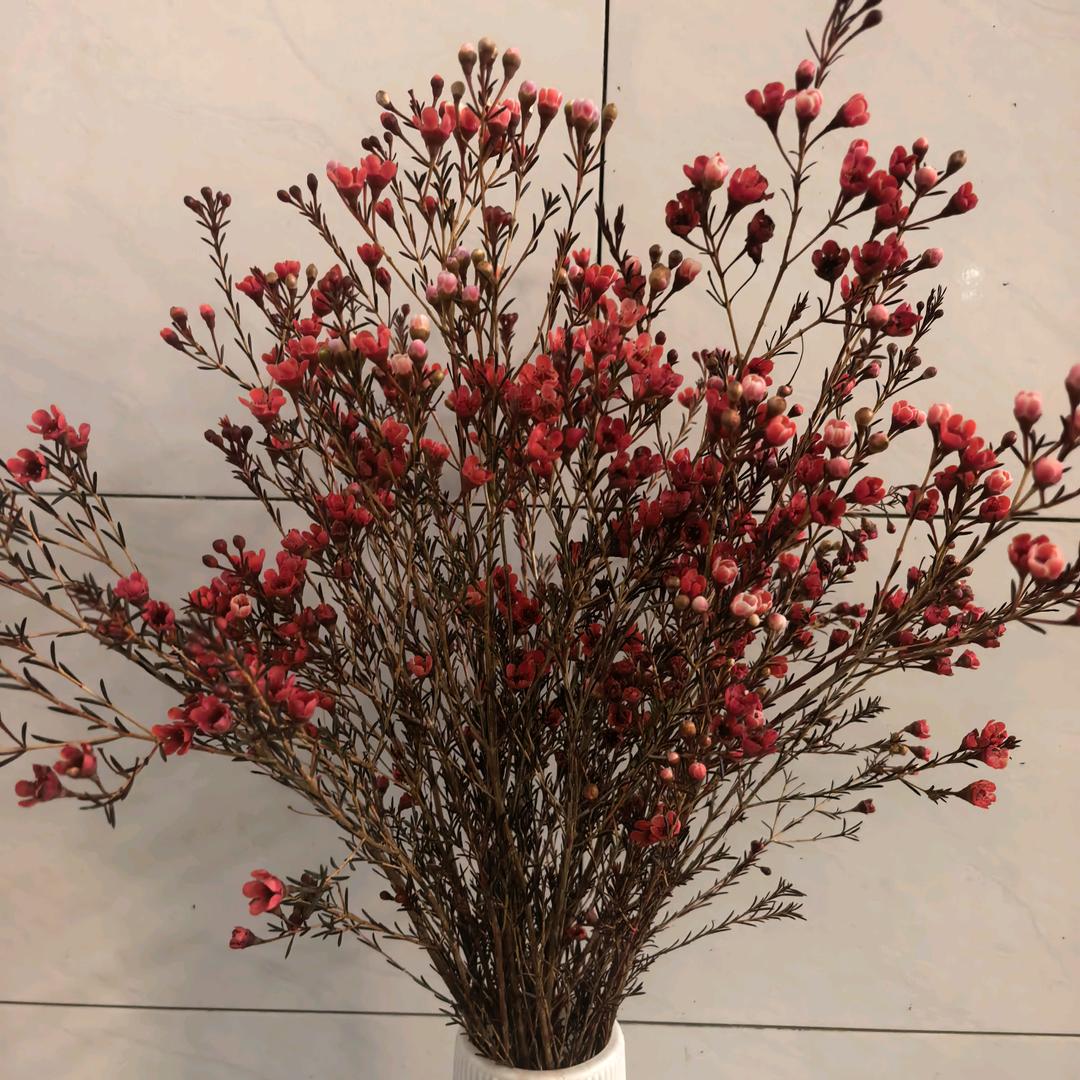 🥀এ᭄依人浅笑🧚‍♀️࿐ᩚ