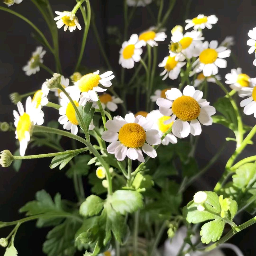 爱语文的王老师