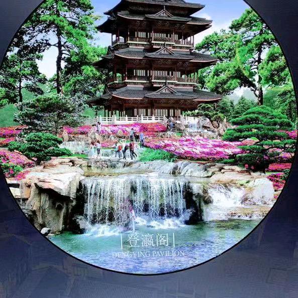 奋斗到底巜飞虎队》