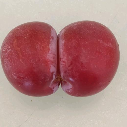 不正经的rose
