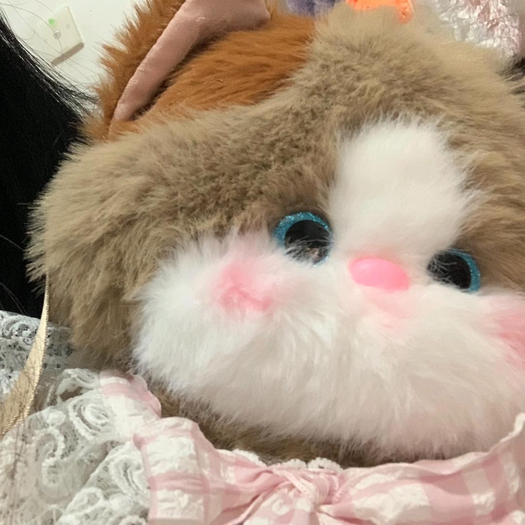 芋泥毛巾卷