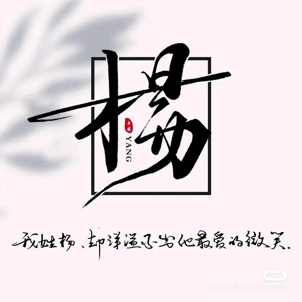 河南烧饼姐