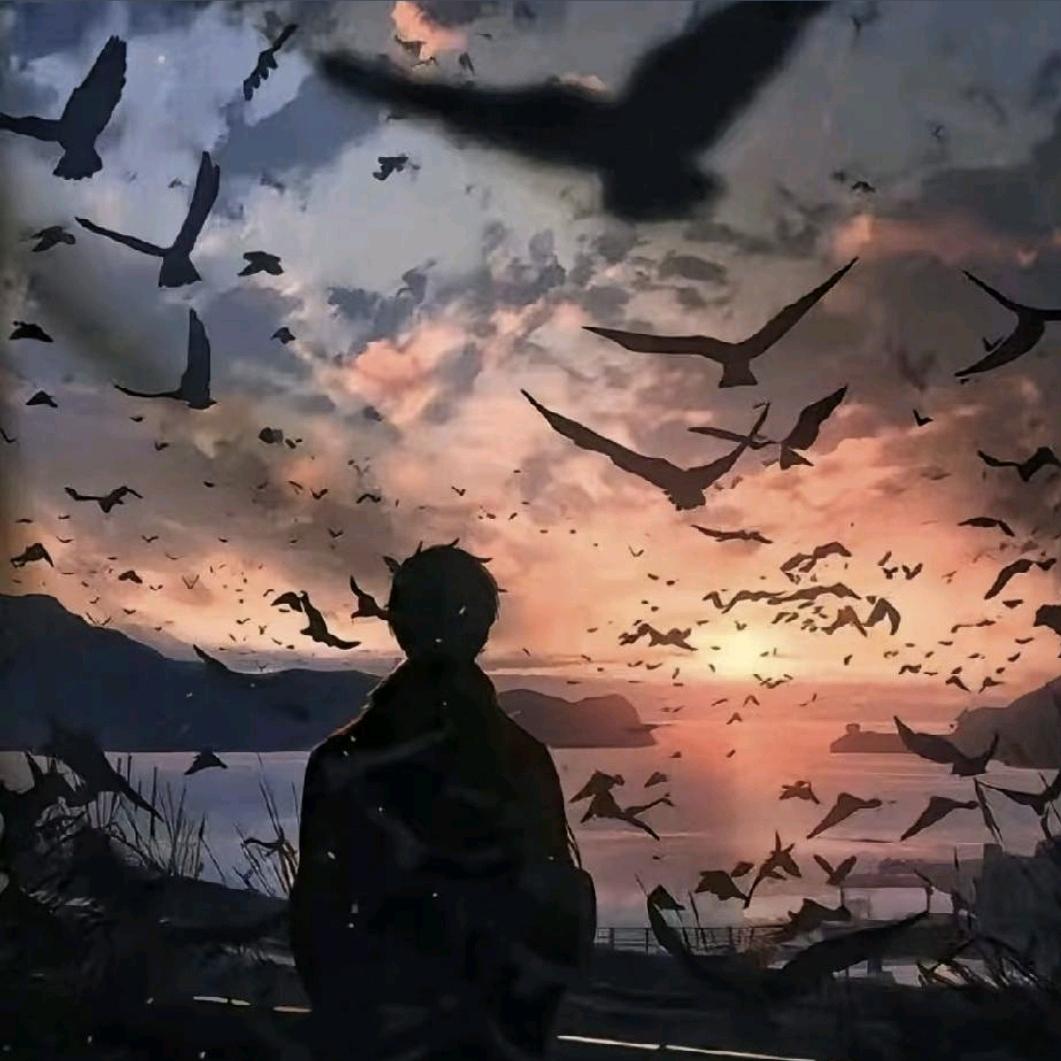 暖风之夜