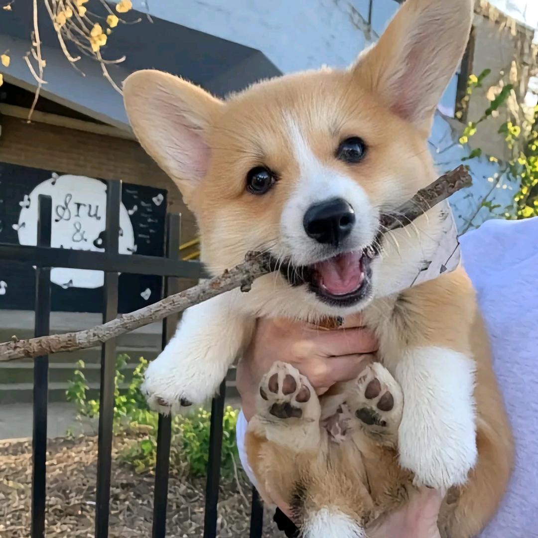 别打扰我睡觉💤