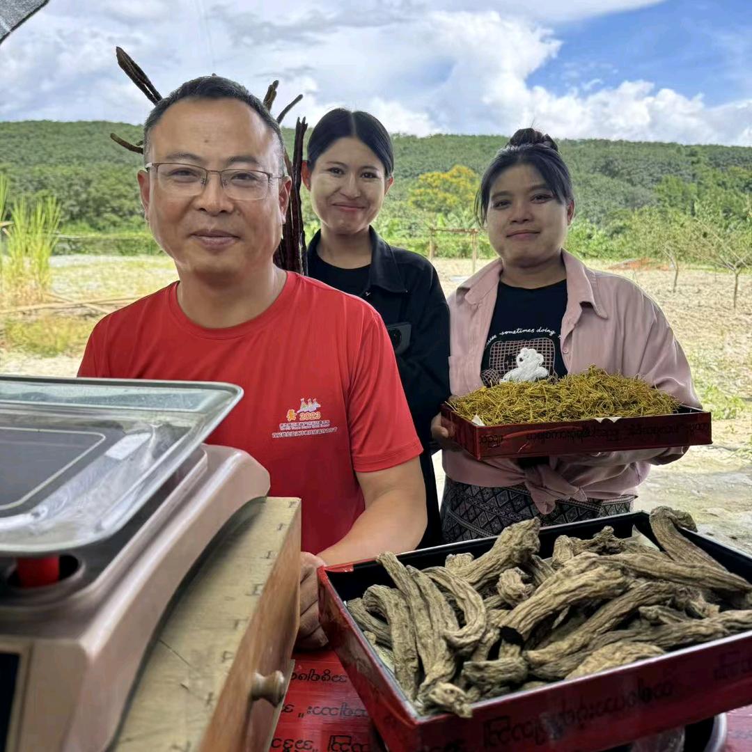 滇缅边境山货（宠粉号）