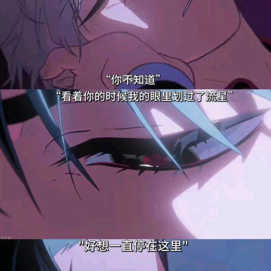 羡羡（猫咪重度依赖版）