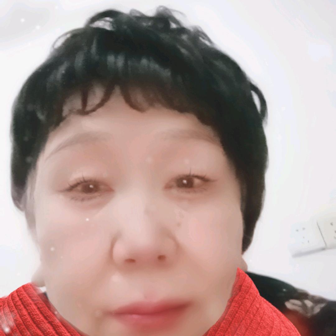 琴
