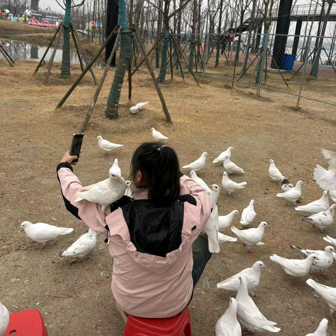 画大🫓