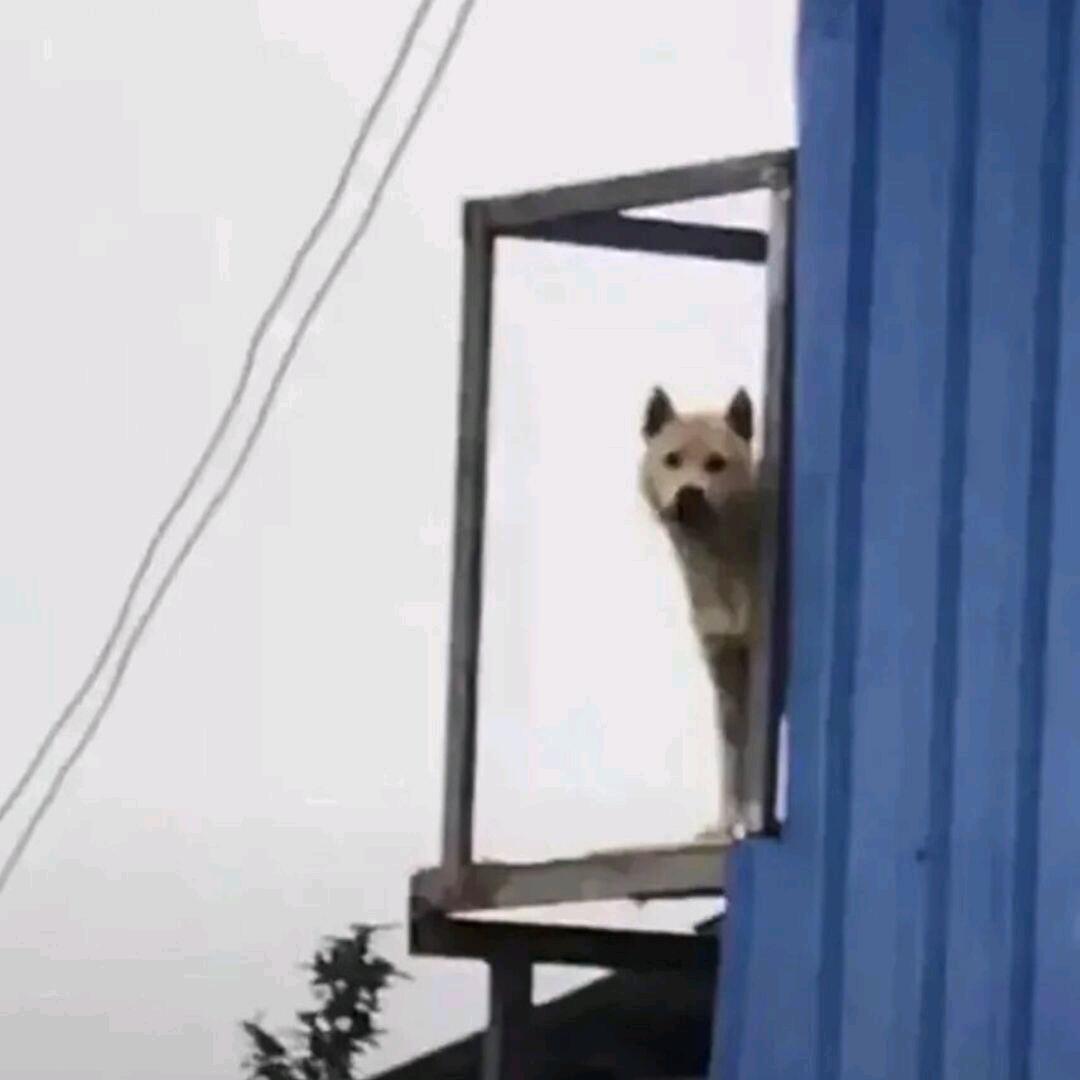 不要破音