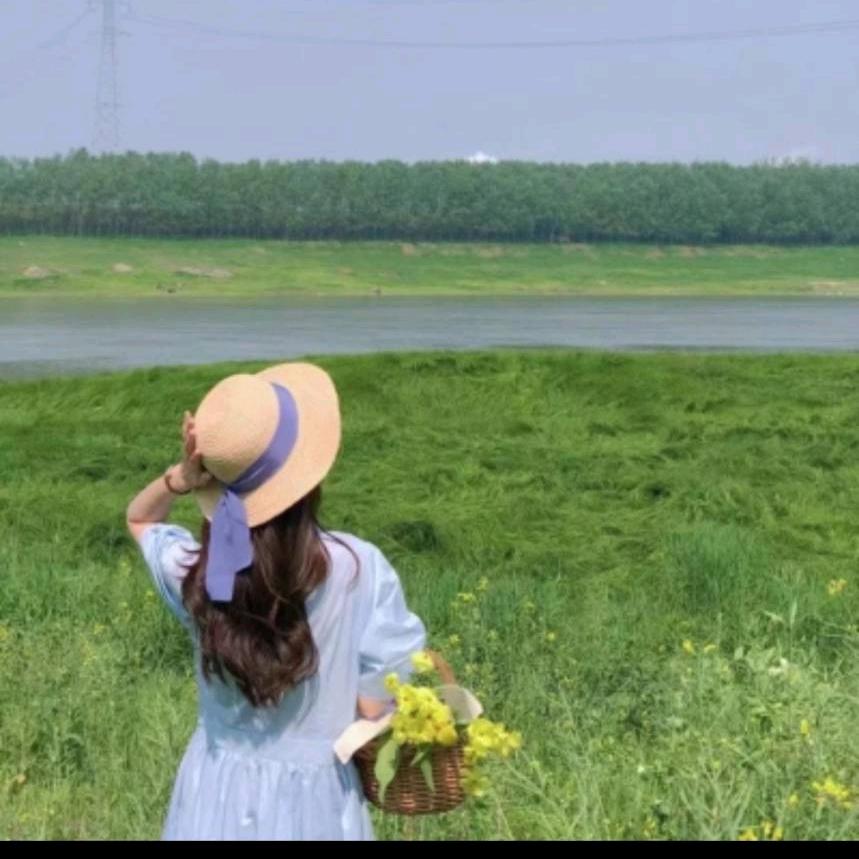 夏夏