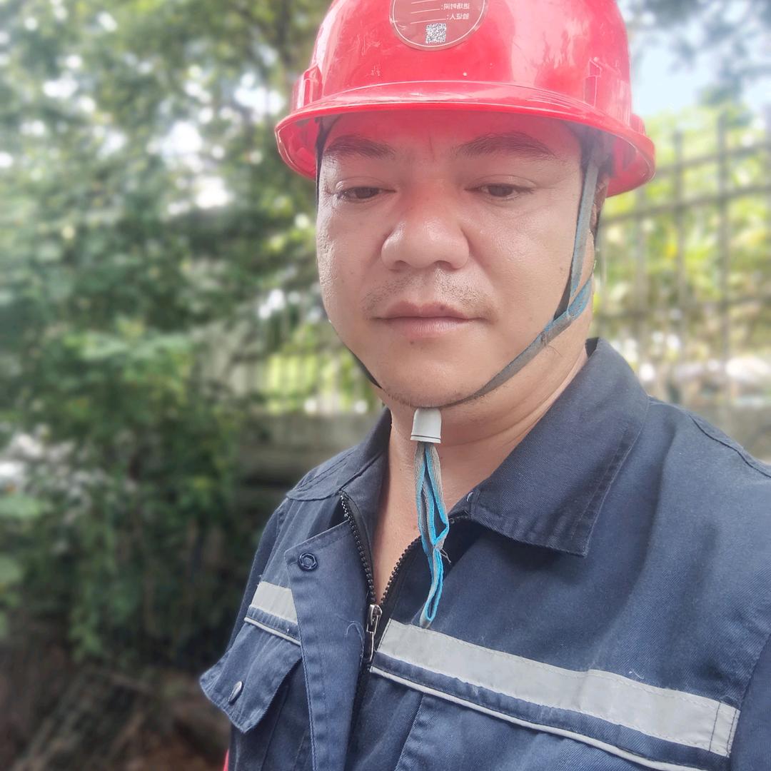 飞龙在天