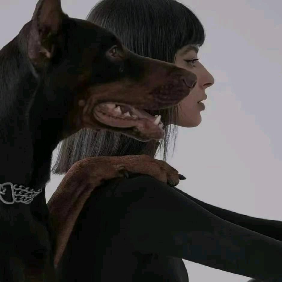 🖤