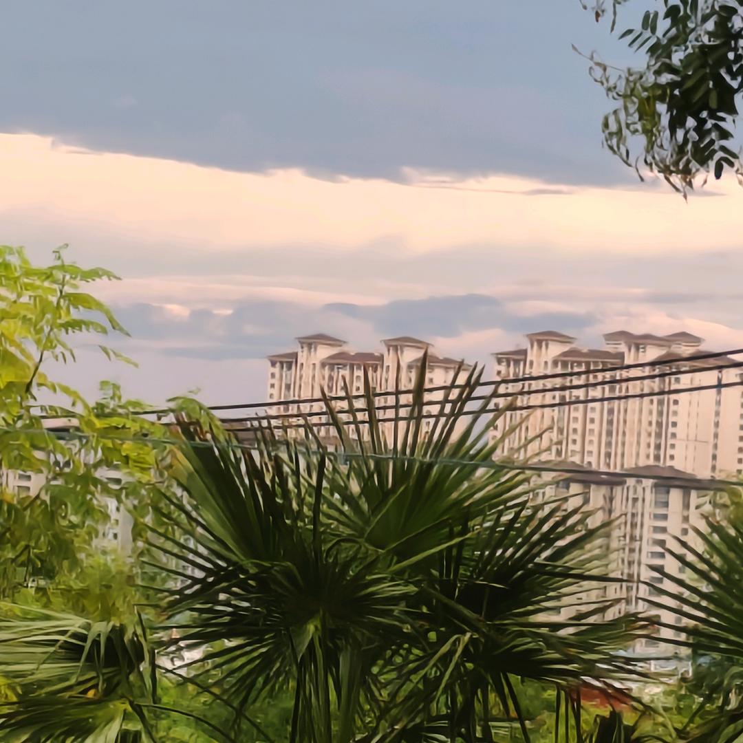 逍遥居～～兲族清