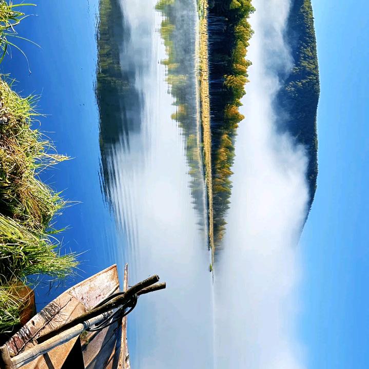 满山猴子我腚最红