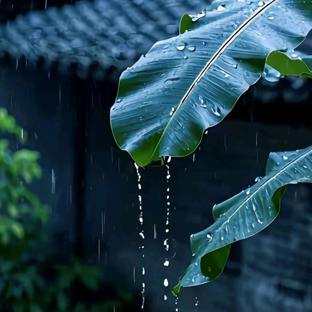 一步十年