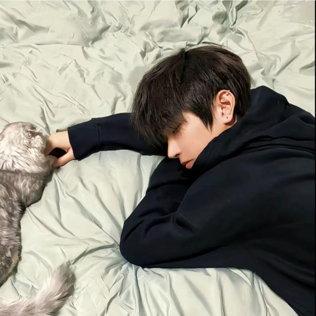 三岁无畏契约手游（和平职业）