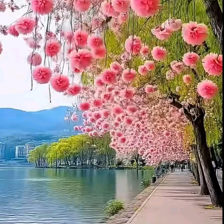 主任大讲堂