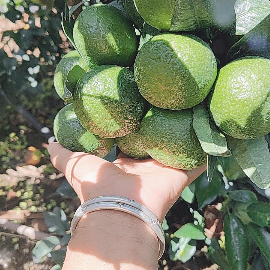 🍒随心所欲🍒