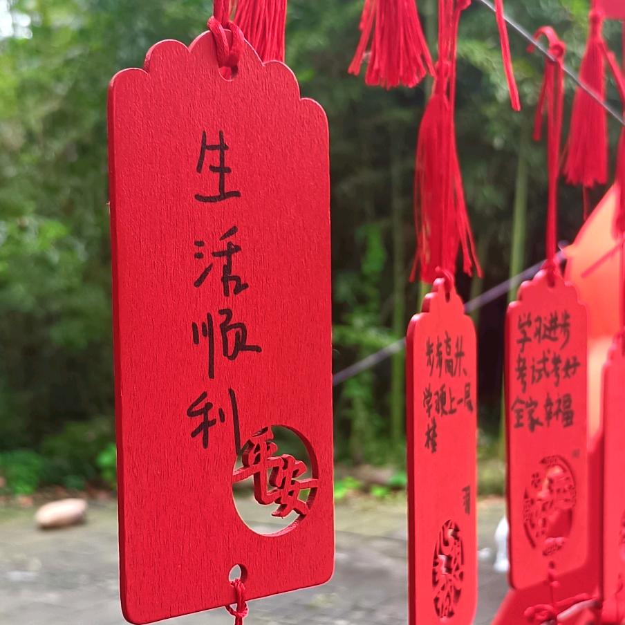 💗余生ᝰ随心💗