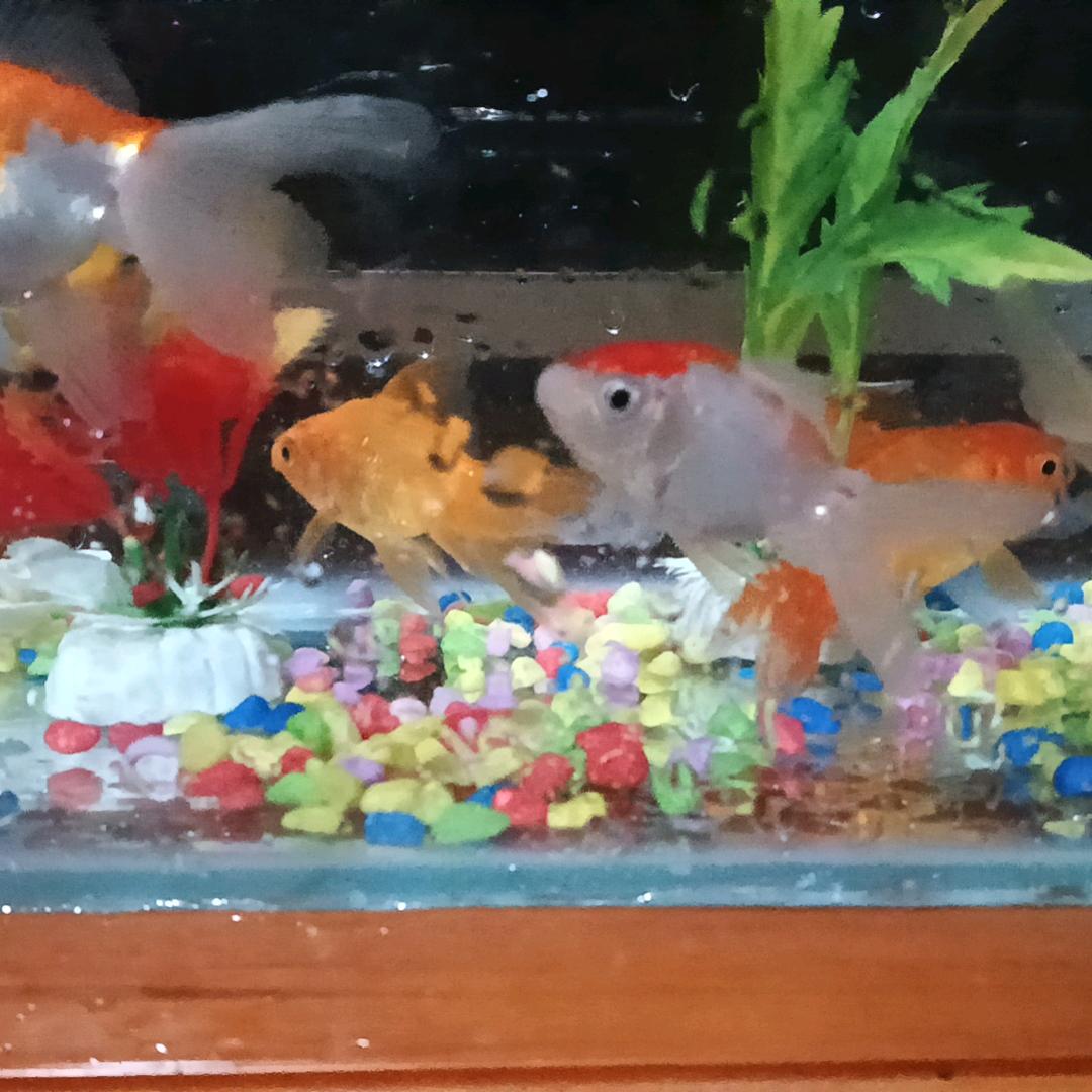 做人不要太过分，