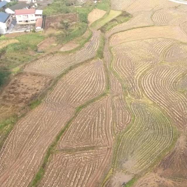 永久基本农田查询