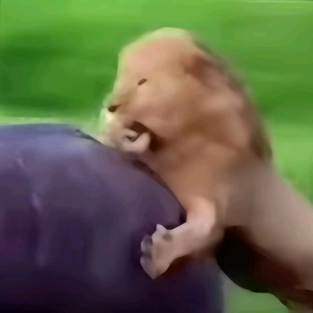 执笔瞎涂鸦（91级传媒斗罗）