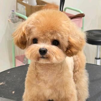 。。。。。。。