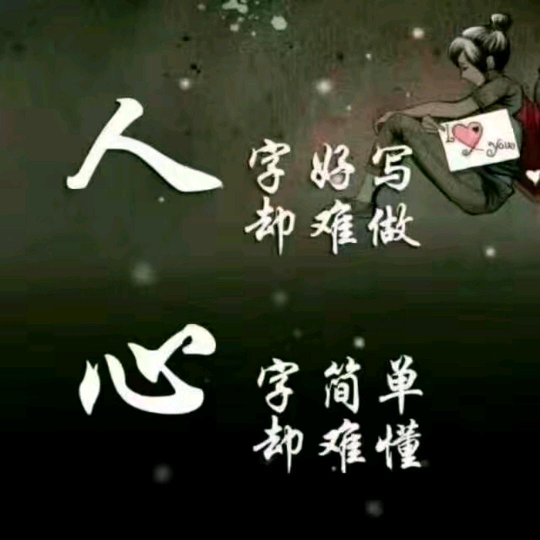 🌵仙人掌