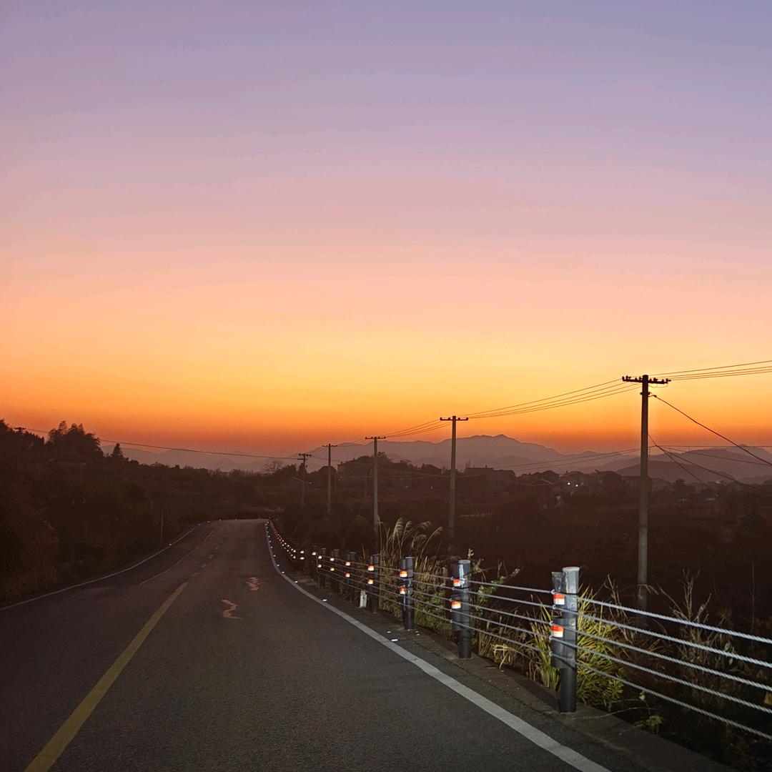 山有木兮木有枝