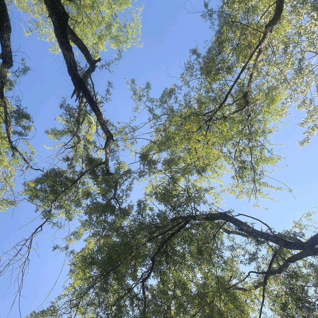 蓬莱路中国电信