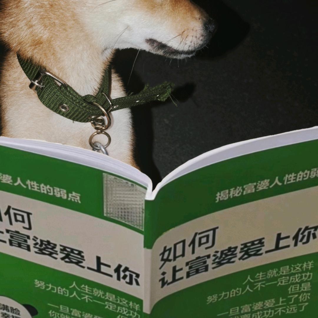 小柴可乐🥤