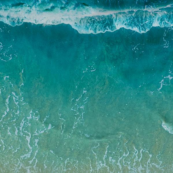 魚生有你方鹏酸菜鱼